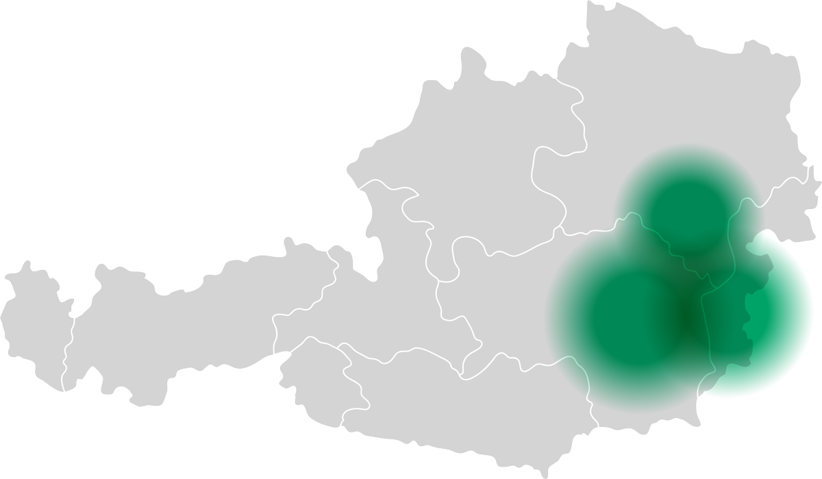 24 Stunden Pflege Steiermark, Niederösterreich, Burgenland